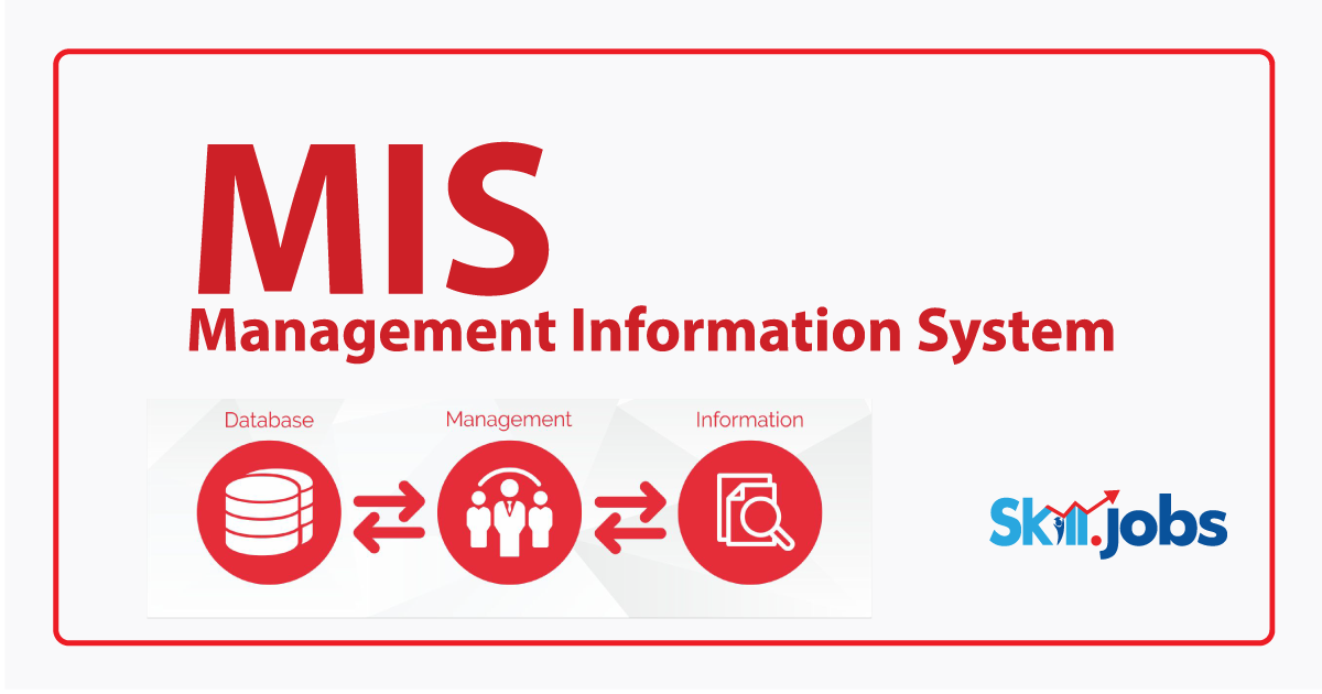 Management Information System (MIS)