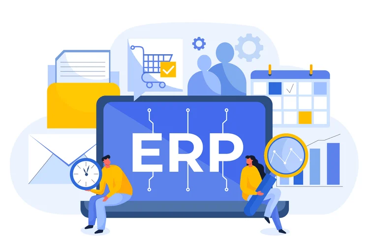 Software Development With ERP ( Functional)
